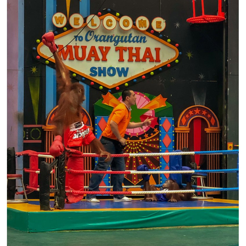 รูปภาพ 8