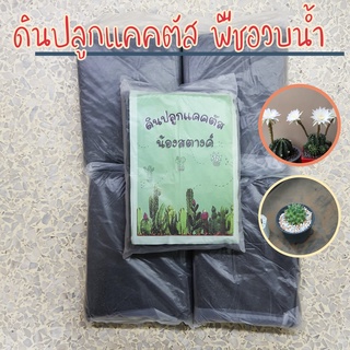 ดินปลูกกระบองเพชร แคคตัส พืชอวบน้ำ พร้อมปลูก ดินเพาะต้นกระบองเพชร ดินแคคตัส ดินแคสตัส ดินแคนตัส กระบองเพชร