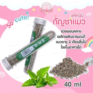 พร้อมส่ง Catnip แคทนิป กัญชาแมว สมุนไพรออร์แกนิคสำหรับแมวแบบหลอด ช่วยผ่อนคลายให้น้องแมว ขนาด 40 ml