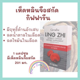 เห็ดหลืนจือ เห็ดหลินจือสกัด ชนิดแคปซูล กิฟฟารีน Lingzhi Extract Capsule Giffarine