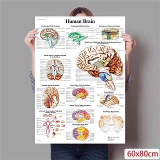 ภาพโปสเตอร์ผ้าใบ รูปโครงกระดูก สําหรับตกแต่งผนัง