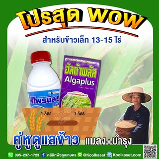 ชุดกำจัดหนอน บำรุงข้าวเล็ก 13-15 ไร่ กำจัดหนอน บำรุงต้นข้าวใบเเขียว แข็งแรง คูลเกษตร KK304