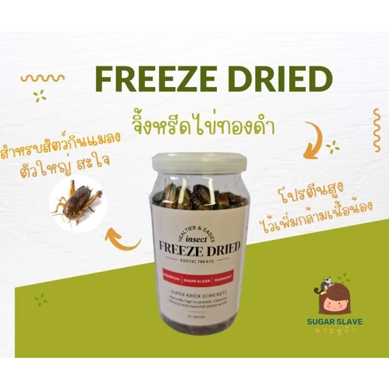 จิ้งหรีดฟรีซดราย จิ้งหรี้ดอบแห้งแบบฟรีซดราย Super Krick Freeze dried ทาสชูก้า สามารถวางไว้อุณหภูมิห้อง เก็บได้นาน