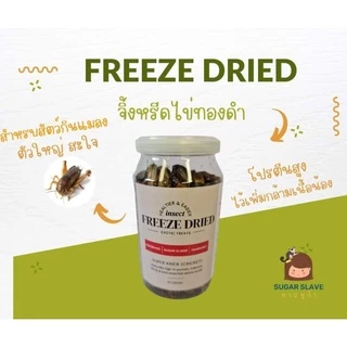 จิ้งหรีดฟรีซดราย จิ้งหรี้ดอบแห้งแบบฟรีซดราย Super Krick Freeze dried ทาสชูก้า สามารถวางไว้อุณหภูมิห้อง เก็บได้นาน