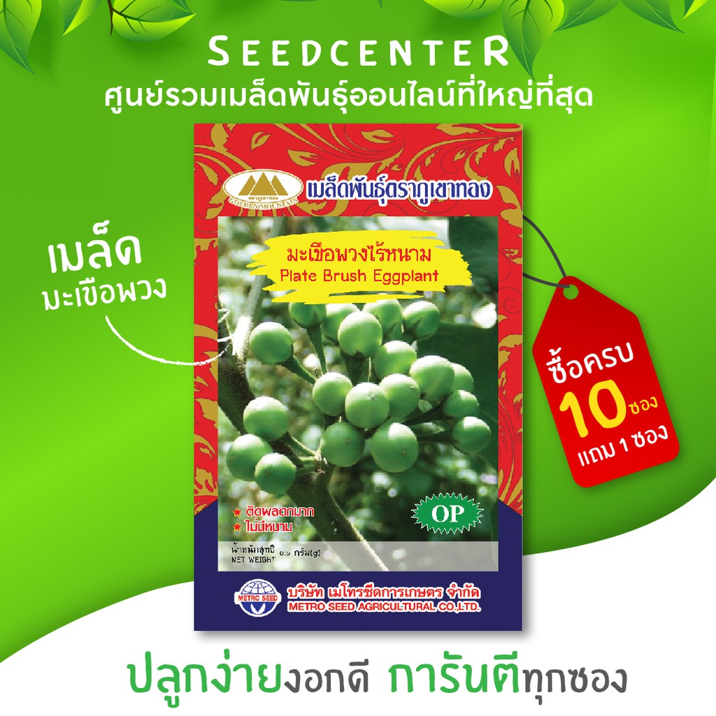 เมล็ดมะเขือพวงไร้หนาม ขนาด 0.5 กรัม ภูเขาทอง