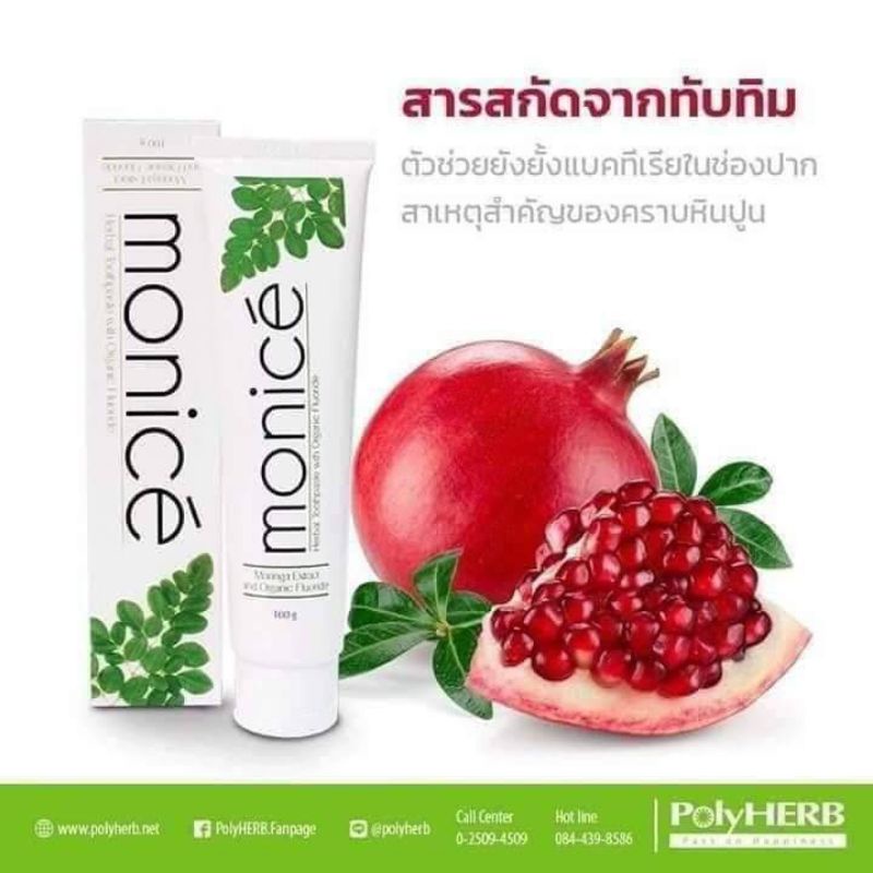 ยาสีฟัน สมุนไพร MONICE (POLY HERB) 160g. - ps.231 - ThaiPick