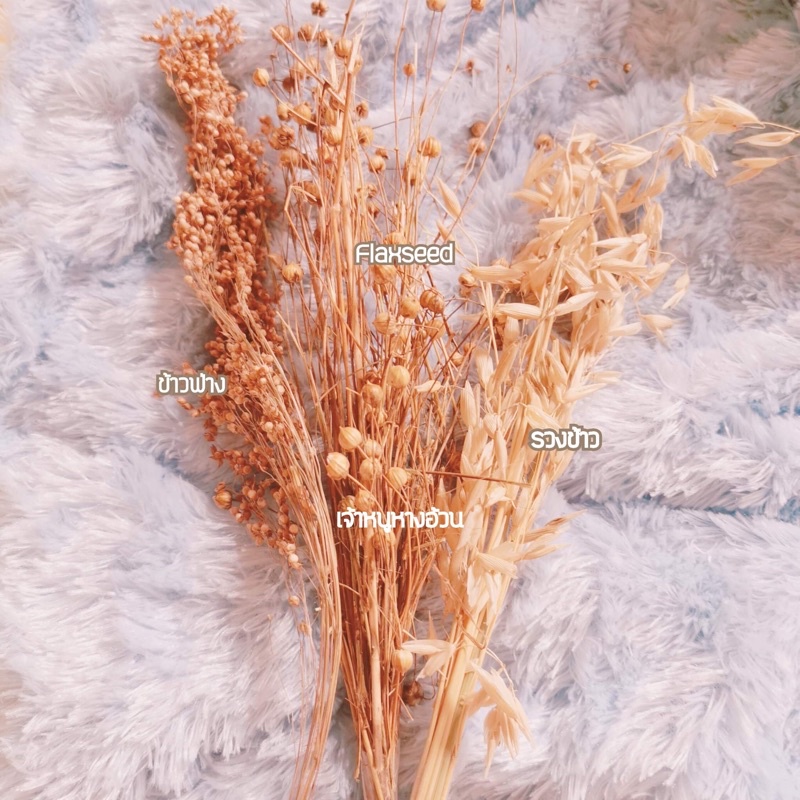 (เจ้าหนูหางอ้วน) flaxseed/ข้าวฟ่าง/รวงข้าว/ลาเวนเดอร์/ข้าวบาร์เลย์ ตกแต่งกรงแฮมสเตอร์