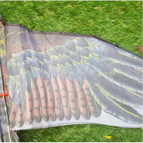 ว่าว ว่าวไล่นก ว่าวนก  แถมเชือกว่าวยาว 12 บาท ทุกตัว ราคาถูก ว่าวนกตัวใหญ่ ของเล่นเด็ก ไล่นกพิราบ - รูปที่ 3