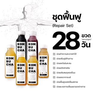 [ Premium Kombucha ] คอมบูชา คอมบูชะ คอมบูฉะ คอมบุชะ กอมบูชา ชาหมัก น้ำชาหมัก ใบชาหมัก คีโค ออแกนิค ลดไขมัน ชา พุง Keto