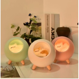 ✅ สินค้าพร้อมส่ง ✅ cat night light โคมไฟตั้งโต๊ะห้องนอนของขวัญสร้างสรรค์สาวน่ารัก โคมไฟกลางคืนขนาดเล็ก