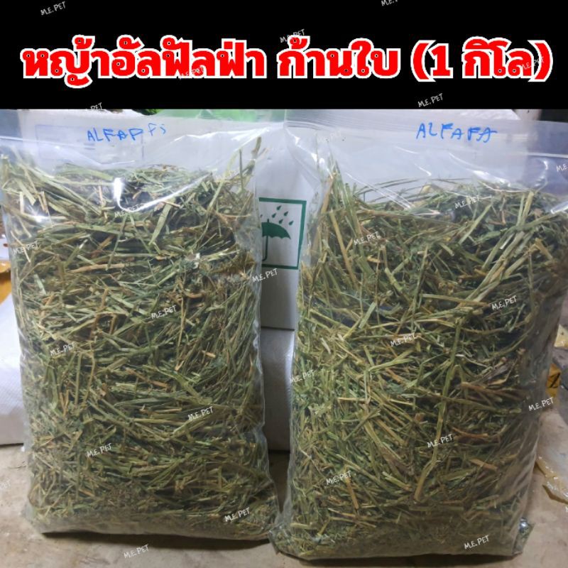 หญ้าอัลฟัลฟ่าก้านใบ หญ้าอัลฟาฟ่าอย่างดี สำหรับกระต่ายเด็ก หนูแกสบี้ แพรี่ด็อก ชินชิล่า แพะ แกะ เต่า ม้าแคระ (1กิโล)