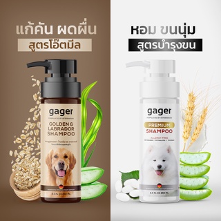 Gager (กาเจอร์) แพ็คคู่ (250ml.) แชมพูอาบน้ำหมาโกลเด้น/ลาบราดอร์ สูตรโอ๊ตมีล+สูตรบำรุง กลิ่นหอมน้ำนมข้าว ลดขนร่วง