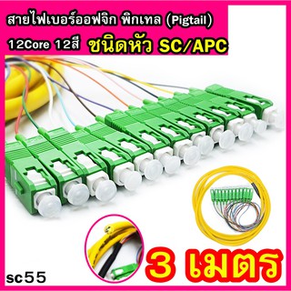 สายไฟเบอร์ออฟติกพิกเทล (Pigtail) ชนิดหัว SC/APC จำนวน 12 เส้น 12 สี 3เมตรรหัสสินค้าsc55