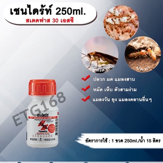 เชนไดร้ท์ 250 ml. สเตดฟาส 30 เอสซี ไบเฟนทริน กำจัดปลวก มด แมลงสาบ หมัด เห็บ แมลงวัน ยุง