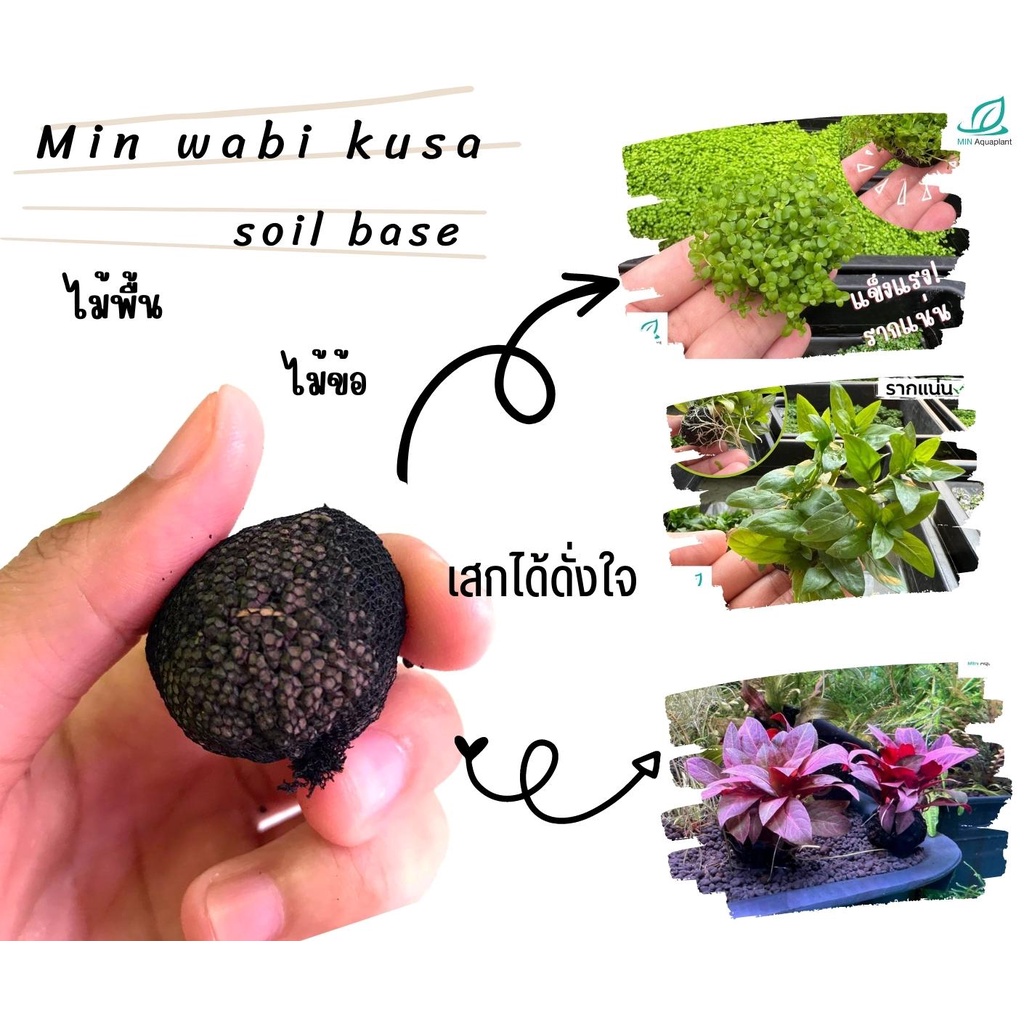 Min wabi kusa soil base ลูกละ 10 ลูกดินวาบิสำเร็จรูป สำหรับมัดกับต้นไม้