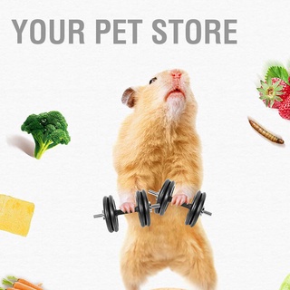 Your Pet Store ขนมขบเคี้ยว ผัก ผลไม้ แฮมสเตอร์ 25 กรัม สําหรับซีเรีย