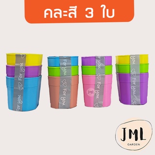 JML กระถางพลาสติก 2 นิ้ว กระถางสี่เหลี่ยมขอบตัด กระถางแปดเหลี่ยม กระถางกระบองเพชร กระถางแคคตัส  ราคาส่ง ราคาถูก