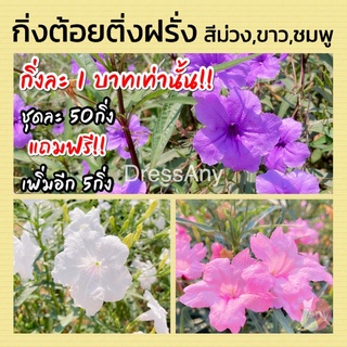 กิ่งต้อยติ่งฝรั่งดอกสีม่วง สีขาว สีชมพู ฟ้าประทานพร คละสีได้ กิ่งละ 1บาท ชุด 50 กิ่ง แถมฟรี 5 กิ่ง