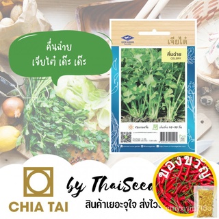 เมล็ดอวบอ้วน100%，ไทยในสต็อกพร้อมส่งเมล็ดพันธุ์ คึ่นฉ่าย คื่นช่าย 7500 เมล็ด ตราเจียไต๋ Celeryเมล็ดพืชคุณภาพสูงGrassCosmo