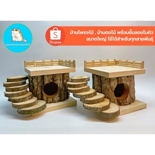 บ้านตอไม้ บ้านแฮมเตอร์ ขนาดใหญ่ มีชั้นลอยและบันไดในตัว