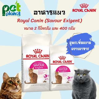 [2kg.][400g.] อาหารแมว Royal Canin Savour Exigent โรยัลคานิน อาหารแมว สำหรับ แมว ทานยาก สูตรเพิ่มความอยากอาหาร ขนมแมว