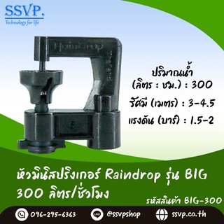 สปริงเกอร์ Raindrop รุ่น BIG-300 รูน้ำสีดำ ปริมาณน้ำ 300 ลิตร/ชั่วโมง บรรจุ 100 ตัว