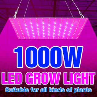 1000W ไฟพืชเติบโต Quantum LED พืชเต็มสเปกตรัม AC85-265V Phyto โคมไฟ Greenhouse Seedling การเพาะปลูก LED เมล็ด220