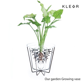 KlearObject Our garden Growing vase แจกันดอกไม้ แจกันอะคริลิค รูปทรงกระถางต้นไม้ แจกัน แจกันแปลก แจกันต้นไม้ ใส่ดอกไม้