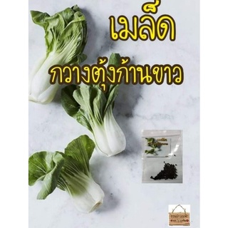 เมล็ดพันธุ์ กวางตุ้งฮ่องเต้ก้านขาว 100(Canton Pak Choi Seed)