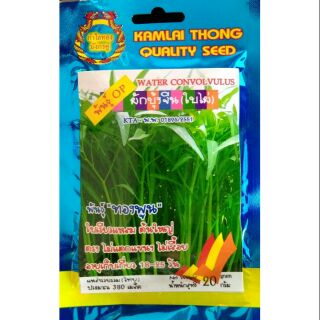 เมล็ดผักบุ้งจีน ใบไผ่ 380 เมล็ด ใบเรียวยาว สีเขียวสด