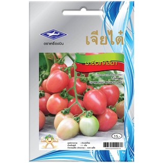 เมล็ดพันธุ์มะเขือเทศสีดา TOMATO CHIA TAI SEED