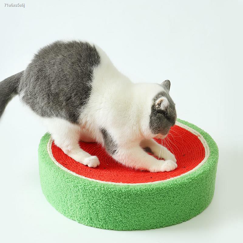 Cat claw version۞♀กระดานที่ลับเล็บแมวของช่างฝีมือไม่เสียเศษป่าน