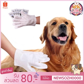 Boqi Factory ถุงมือแบบไม่ต้องซัก ทำความสะอาดสัตว์ แบบใช้แล้วทิ้ง  Clean Glove