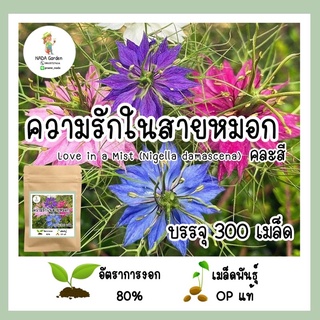 เมล็ดพันธุ์ ความรักในสายหมอก คละสี 300 เมล็ด Love in a Mist (เมล็ด+ดอกไม้กินได้) เมล็ดพันธุ์แท้