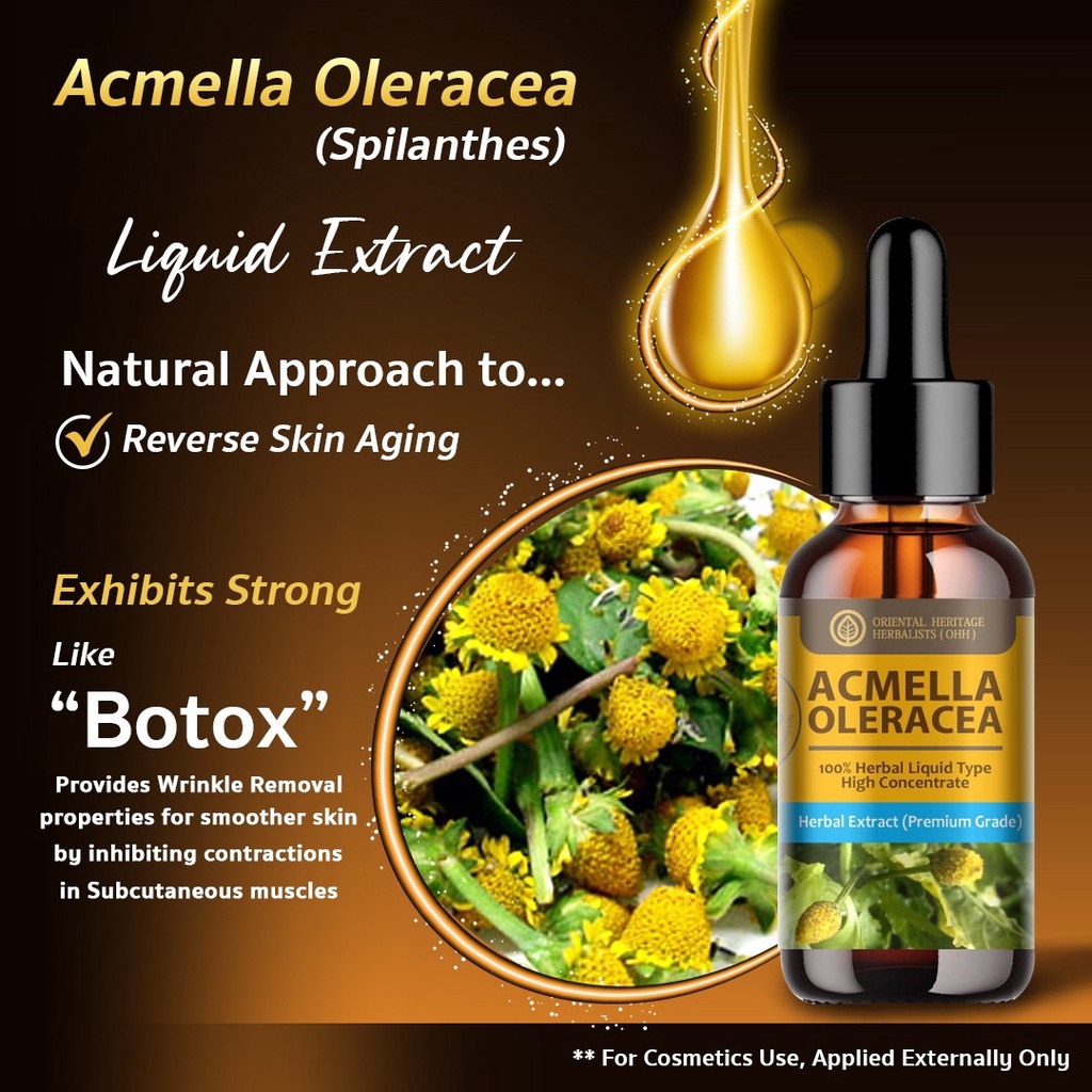 Acmella Oleracea Liquid Extract in Liquid Type 25 ml. (High