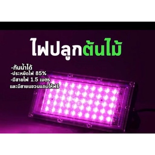 ไฟปลูกต้นไม้ 50/96LED Grow Light ไฟเเสงสีม่วง ไฟสปอร์ตไลท์ปลูกพืช ช่วยการเจริญเติบโตของพืช