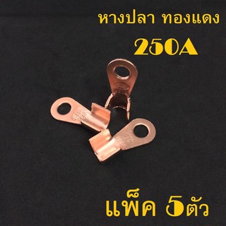 หางปลาทองแดง 250 a บรรจุ 5 ตัว