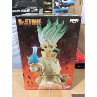 ✅สินค้าพร้อมส่ง : Dr.STONE Doctor Stone Figure Ishigami Chizora FIGURE of STONE WORLD