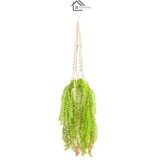 ใบเดฟประดิษฐ์พร้อมกระถางแขวน FONTE รุ่น 190447B สีเขียว🌿💚ต้นไม้ปลอม ต้นไม้มงคล ต้นไม้แต่งบ้าน ต้นไม้จัดสวน🌿💚