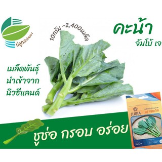 คะน้า (Chinese​ Kale)​