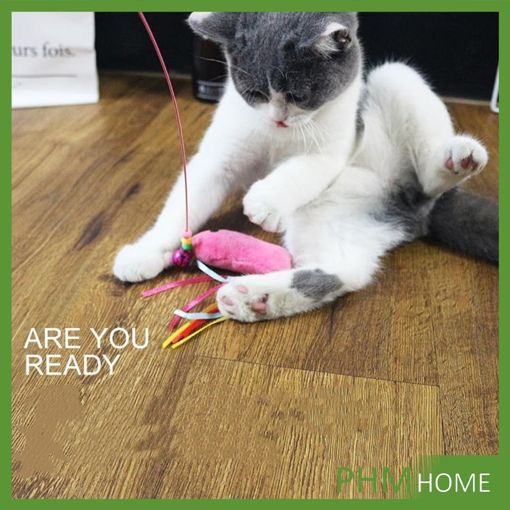 ไม้ตก ของเล่นแมว รูปตัวหนอน Funny cat
