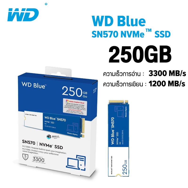 WD Blue SSD 250GB SN570 - PCIe 3 / NVMe M.2 2280 (WDS250G3B0C) ( เอสเอสดี ) SOLID STATE DRIVE