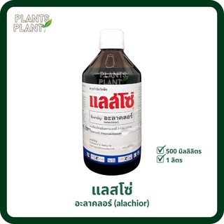 อะลาคลอร์ (alachlor) แลสโซ่ 1L/500cc [กำจัดวัชพืช เช่น หญ้านกสีชมพู หญ้าตีนนก หญ้าตีนกา หญ้าตีนติด และหญ้าขจรจบดอกเหลือง