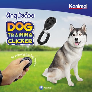 Kanimal  คลิกเกอร์ สุนัข  Dog training clicker สีดำ ขนาด16x5ซม. ฝึกสุนัข ที่ฝึกสุนัข อุปกรณ์ฝึกสุนัข-คานิมอล 71735