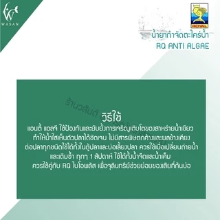 กำจัดตะไคร่น้ำเขียว RQ ANTI ALGAE BY วสันต์อุปกรณ์ปลาสวยงาม