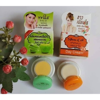 สเต็มเซลล์แอปเปิ้ลเขียว Stem Cell Apple+Collagen LNight cream