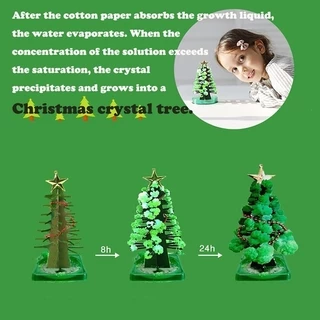 🎄พร้อมส่ง🎄ต้นคริสต์มาส ต้นไม้วิทยาศาสตร์ ของเล่น Magic Growing Christmas Tree ของขวัญคริสต์มาส