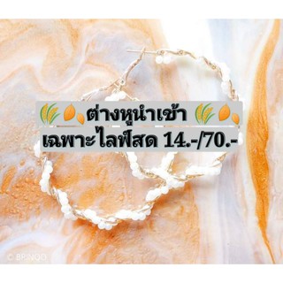 🍂พร้อมส่ง🍂🌾☘️☘️ต่างหูเกาหลี นำเข้า 14.-🌾☘️☘️