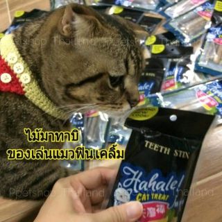 ของเล่นแมว ไม้มาทาทาบิ