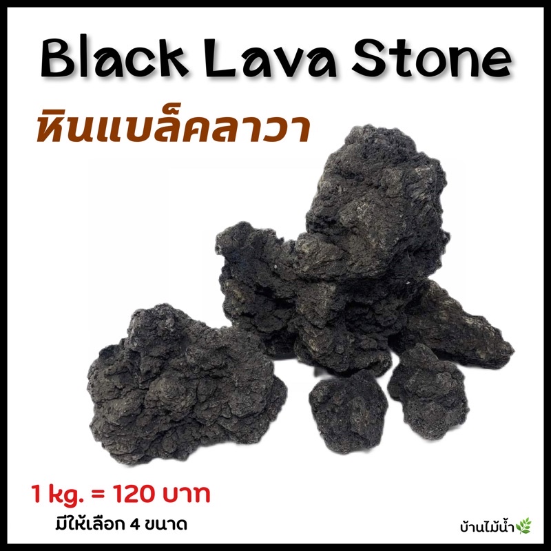หินแบล็คลาวา Black Lava Stone หินตู้ปลา ตู้ไม้น้ำ จัดสวน (ยังไม่ล้าง) | บ้านไม้น้ำ
